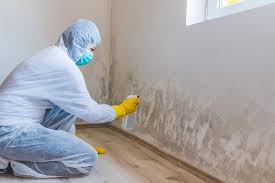 Best Asbestos and Lead Testing During Mold Inspection  in Littlerock, CA